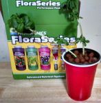 f6tq65zid7v1e0g-medium