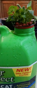 img_20150812_152322687