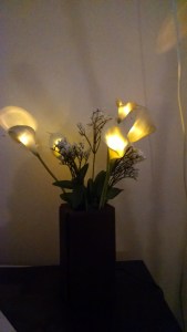 IMG_20180731_145416444