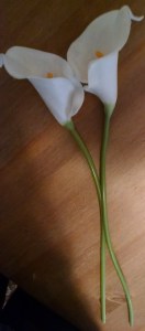 IMG_20180826_135523525