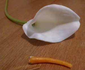 IMG_20180826_135554418