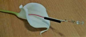 IMG_20180826_135619996