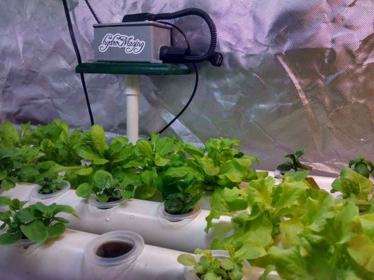 hydromazing_smart_garden_system