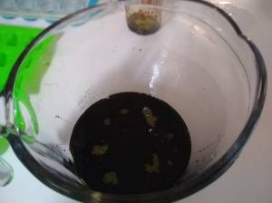 IMG_20191115_110654026