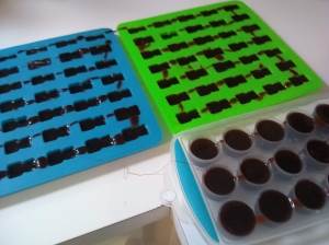 IMG_20191115_115749543